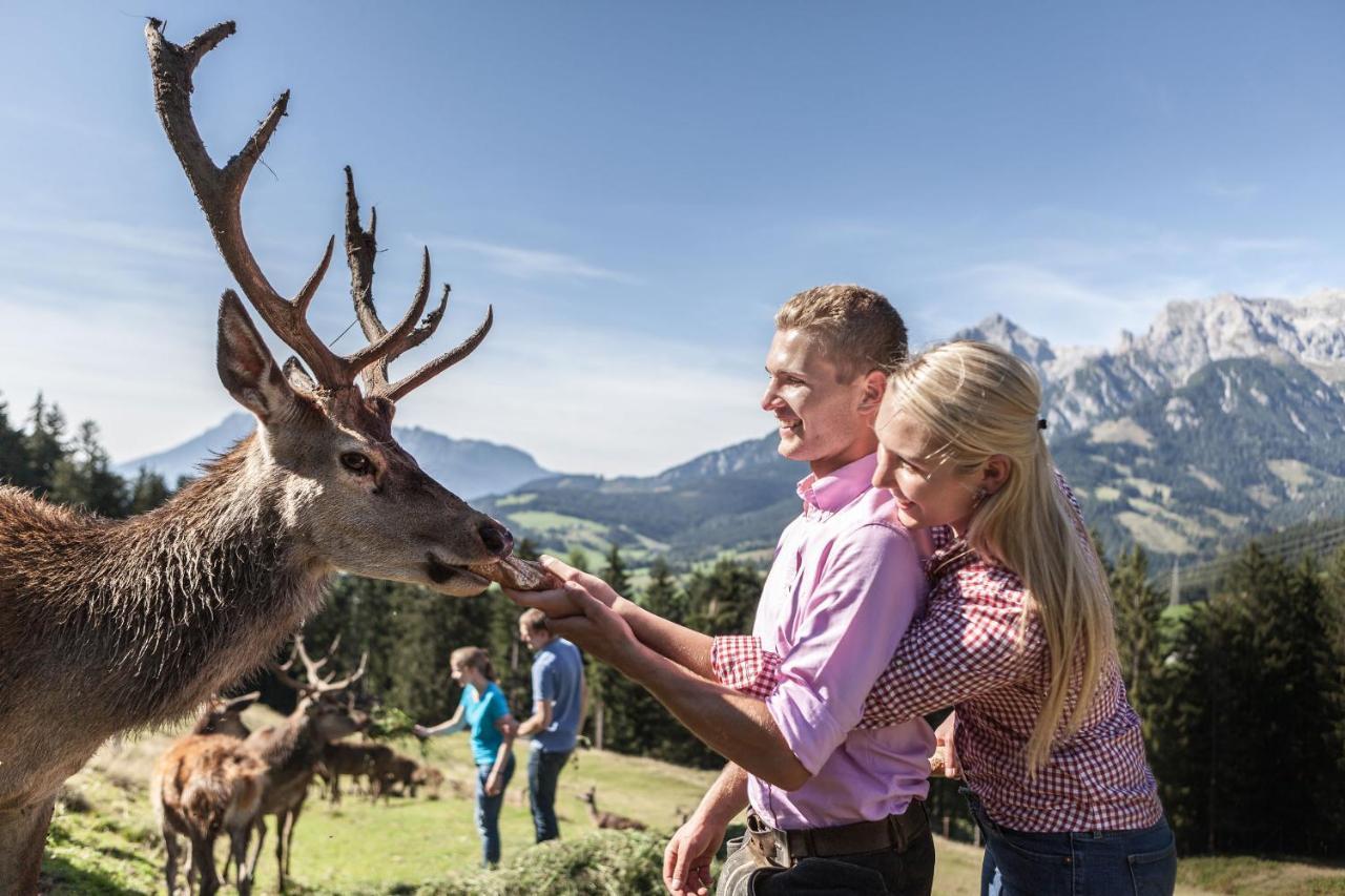 Apartmán Gasteg Living Maria Alm am Steinernen Meer Exteriér fotografie
